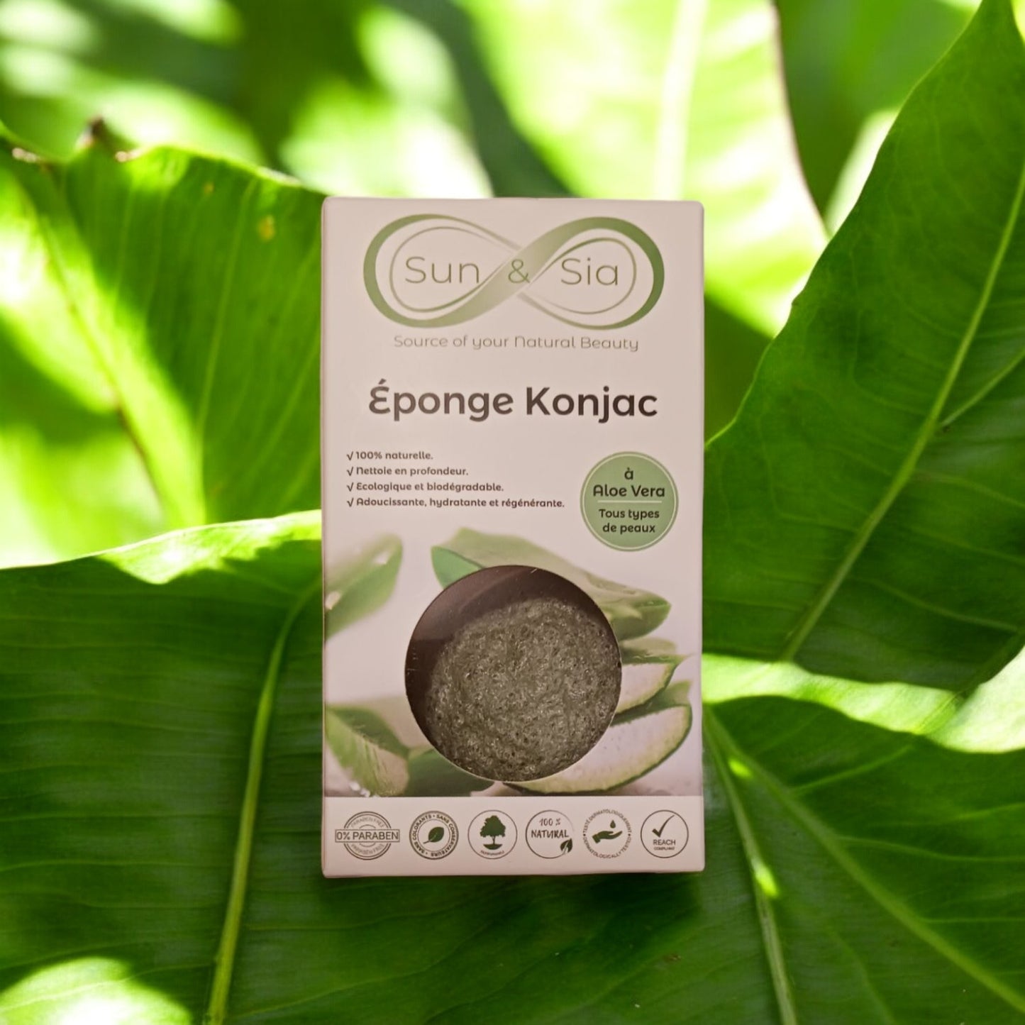 EPONGE  KONJAC VISAGE - " l'Aloe Vera"