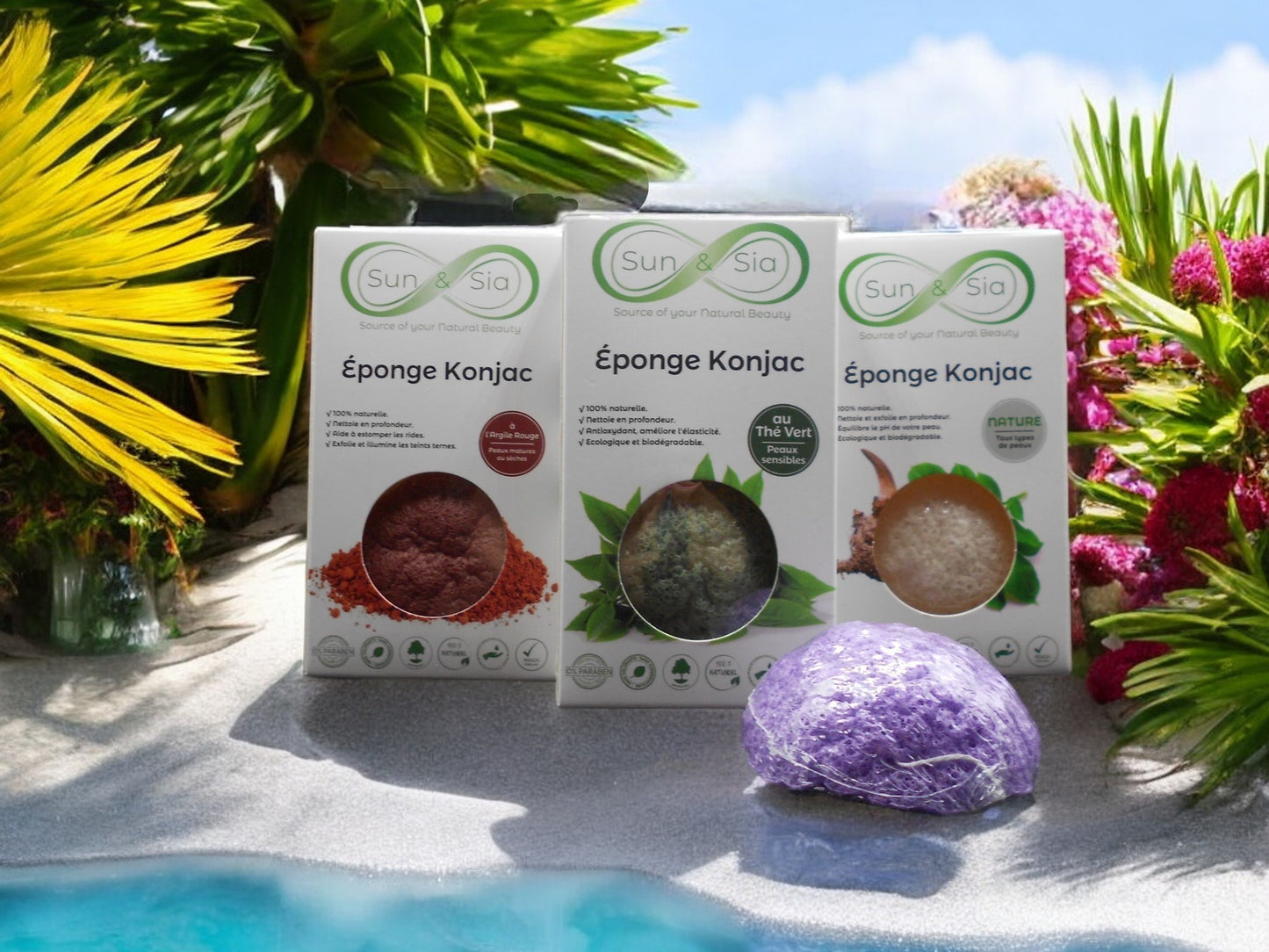 EPONGE  KONJAC VISAGE - " l'Aloe Vera"